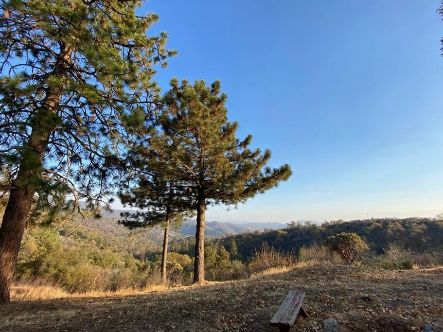 Modern Airstream With Amazing View - 10 To 15 Minutes From Kings Canyon National Park Dunlap Eksteriør billede